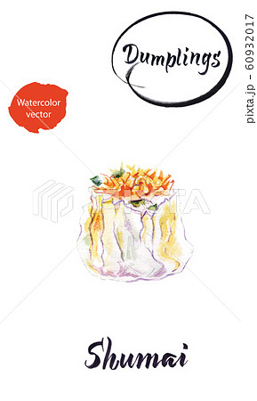 Asian dumpling Shumai watercolor vector illustration Asian dumpling Shumai watercolor vector illustration 60932017