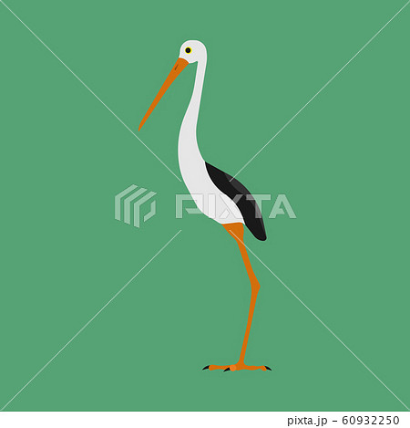Heron bird animal vector icon illustration. Nature 60932250