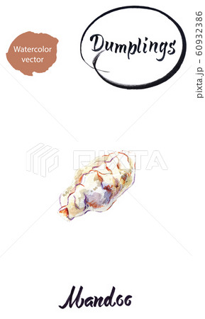 Asian dumpling Mandoo watercolor vector illustration 60932386