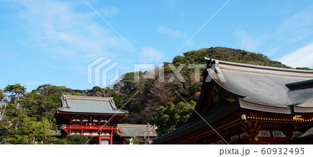 鶴岡八幡宮  Tsurugaokahachimangu shrine 60932495