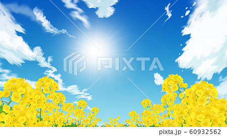 菜の花畑 60932562