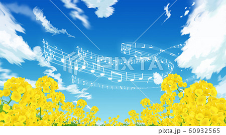 菜の花畑 菜の花畑 60932565