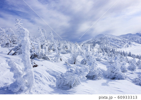 樹氷と雪山 樹氷と雪山 60933313