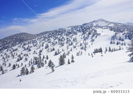 雪山の樹氷原 60933315