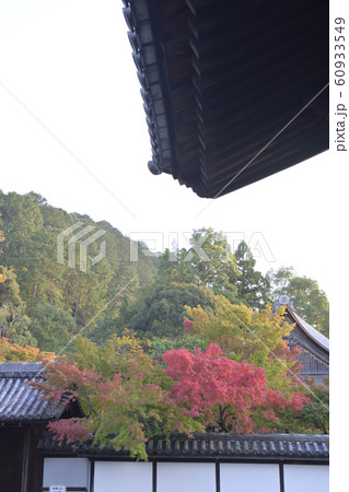 南禅寺 60933549