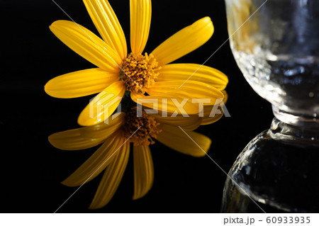 花と酒 60933935