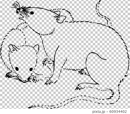White mouse White mouse 60934402