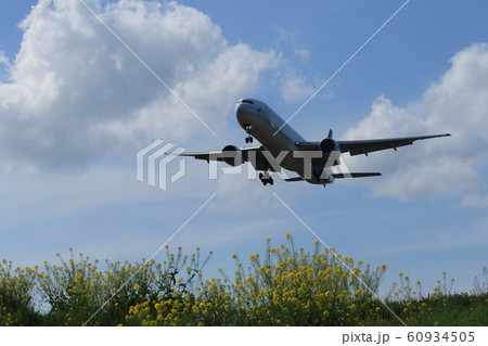 飛行機 菜の花 飛行機 菜の花 60934505