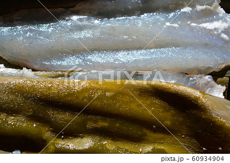 カレイの5枚おろし昆布締め、締めて1日目、刺身、手作り、塩こうじ、家庭料理、和食、食材イメージ素材 カレイの5枚おろし昆布締め、締めて1日目、刺身、手作り、塩こうじ、家庭料理、和食、食材イメージ素材 60934904
