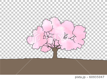 桜の木イラストのイラスト素材