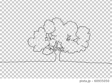 Wood drawing Wood drawing 60935050