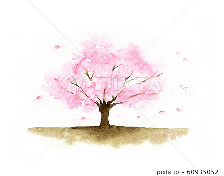 桜の木水彩画のイラスト素材