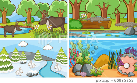 Background scenes of animals in the wild Background scenes of animals in the wild 60935255