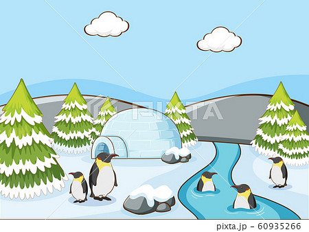 Scene with penguins in winter Scene with penguins in winter 60935266