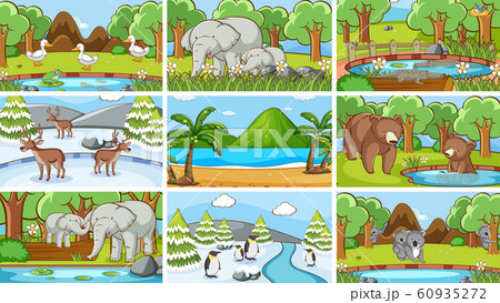 Background scenes of animals in the wild Background scenes of animals in the wild 60935272
