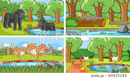 Background scenes of animals in the wild 60935289