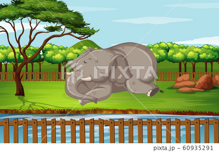Scene with elephant in the zoo 60935291