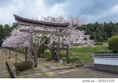 神魂神社　鳥居 60935505