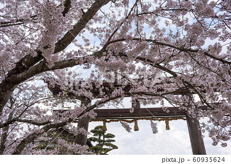 神魂神社　鳥居 60935624