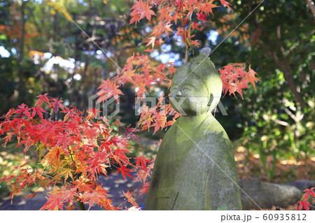 薬師寺 観音様 東京都足立区伊興 薬師寺 観音様 東京都足立区伊興 60935812