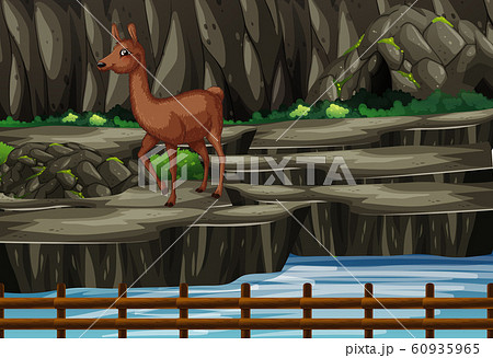 Scene with brown alpaca at the zoo Scene with brown alpaca at the zoo 60935965