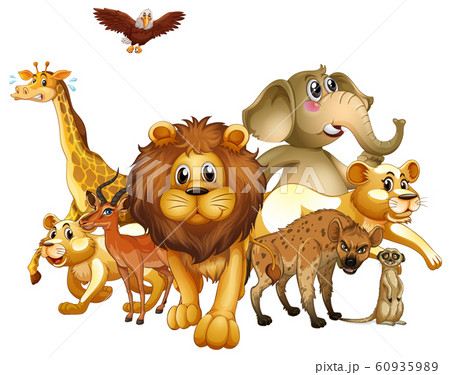 Many animals on white background 60935989