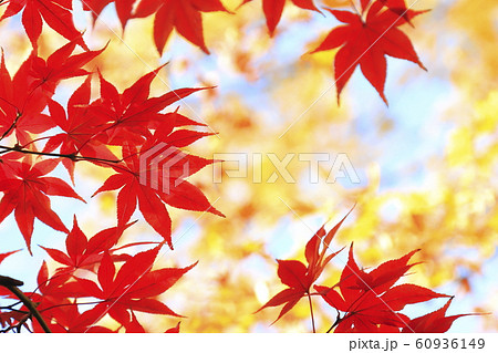 薬師寺　観音様　東京都足立区伊興 60936149