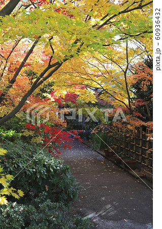 薬師寺　　東京都足立区伊興 60936432