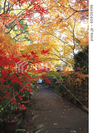 薬師寺　　東京都足立区伊興 60936496
