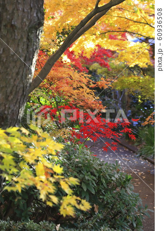 薬師寺　　東京都足立区伊興 60936508