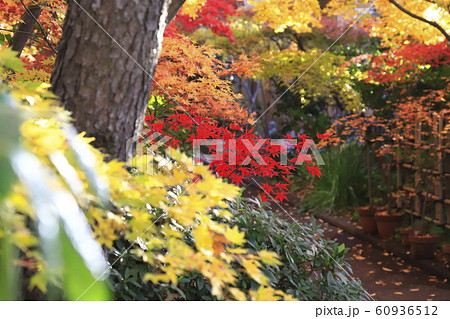 薬師寺 東京都足立区伊興 薬師寺 東京都足立区伊興 60936512