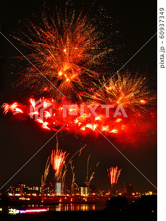 足立花火赤い花 足立花火赤い花 60937349