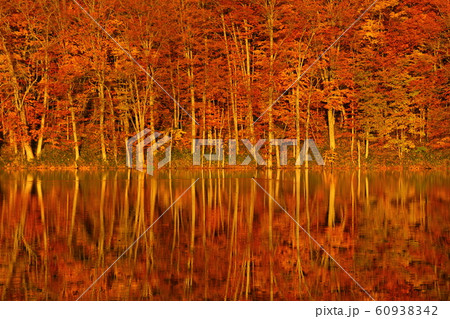 蔦沼秋 60938342