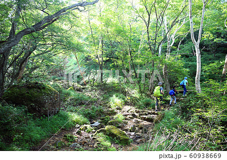 登山する家族 登山する家族 60938669