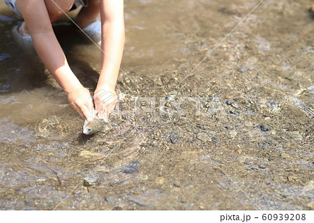 魚のつかみ取り 魚のつかみ取り 60939208