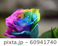 レインボーローズ 60941740