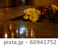 夜の花壇 60941752