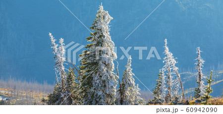Winter in Glacier Park 60942090