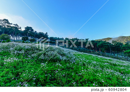 陸 耕作 ら 60942804