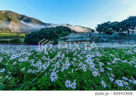 陸 耕作 ら 60942806