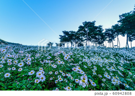 陸 耕作 ら 60942808