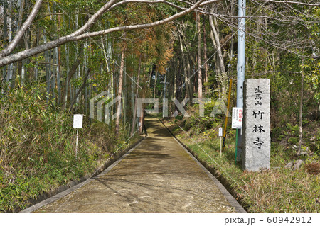 【生馬山 竹林寺】 奈良県生駒市有里町 60942912