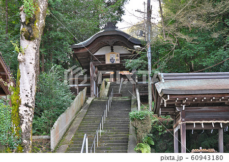 【往馬坐伊古麻都比古神社】 奈良県生駒市壱分町 60943180