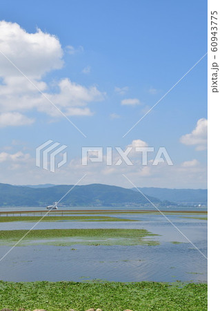 諏訪湖(長野県) 諏訪湖(長野県) 60943775