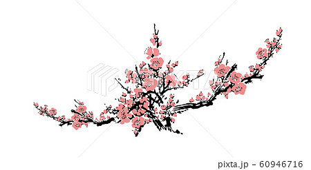 Cherry blossom event template with hand drawn branch with pink cherry flowers blooming. Realistic sakura blossom - Japanese cherry tree. Chinese or Japanese traditional drawing - Vector Cherry blossom event template with hand drawn branch with pink cherry flowers blooming. Realistic sakura blossom - Japanese cherry tree. Chinese or Japanese traditional drawing - Vector 60946716