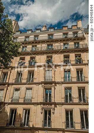 Facade of building with balcony and leafy tree in Paris 60946844
