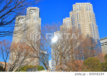 晴天下の東京都庁 60948284