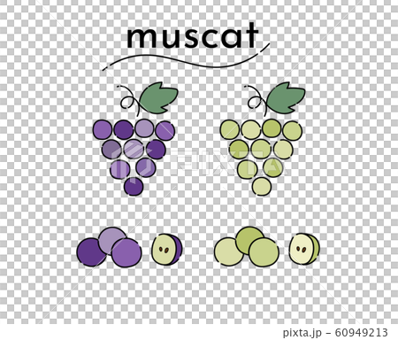 Grapes And Muscat Stock Illustration