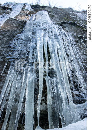 Icicle hangs from a rock in a winter nature. The Icicle hangs from a rock in a winter nature. The 60950170