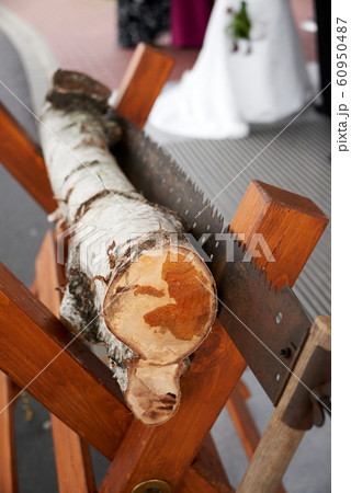wedding game tree trunk saw 60950487